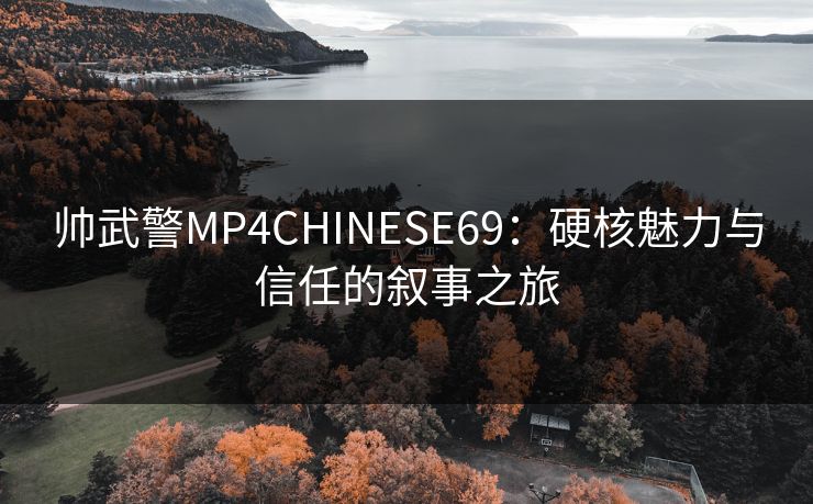 帅武警MP4CHINESE69：硬核魅力与信任的叙事之旅