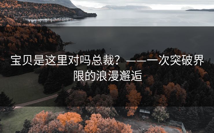 宝贝是这里对吗总裁？——一次突破界限的浪漫邂逅