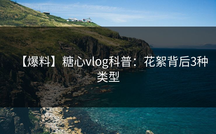 【爆料】糖心vlog科普：花絮背后3种类型