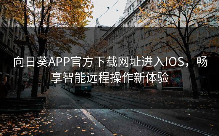 向日葵APP官方下载网址进入IOS,畅享智能远程操作新体验 向日葵APP官方下载网址进入IOS,畅享智能远程操作新体验