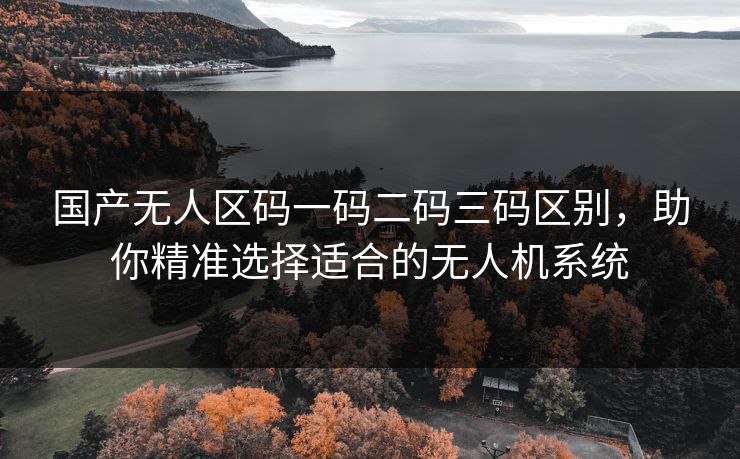 国产无人区码一码二码三码区别,助你精准选择适合的无人机系统 国产无人区码一码二码三码区别,助你精准选择适合的无人机系统