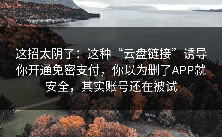 这招太阴了:这种“云盘链接”诱导你开通免密支付,你以为删了APP就安全,其实账号还在被试 这招太阴了:这种“云盘链接”诱导你开通免密支付,你以为删了APP就安全,其实账号还在被试